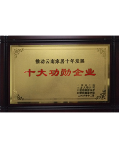 2008年十大功勛企業(yè) 2008年十大功勛企業(yè)